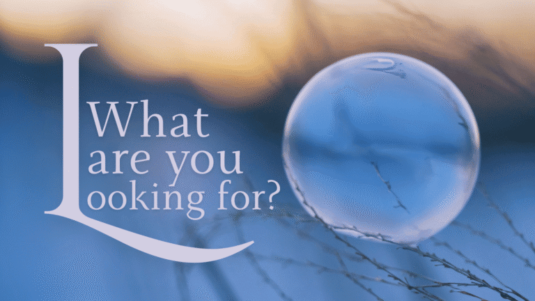What Are You Looking For?