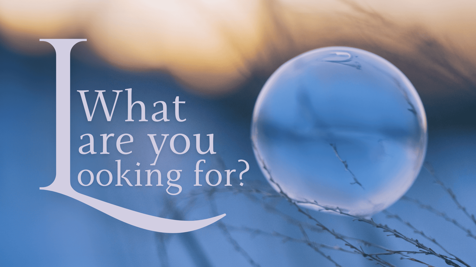What Are You Looking For?