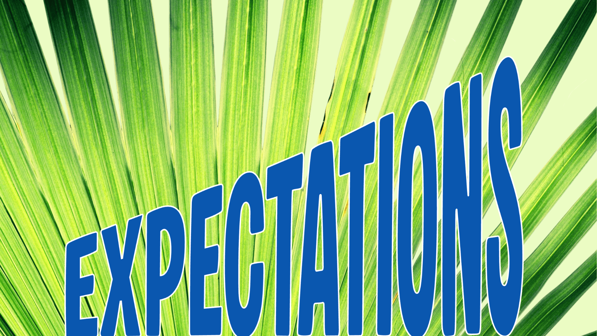 Expectations