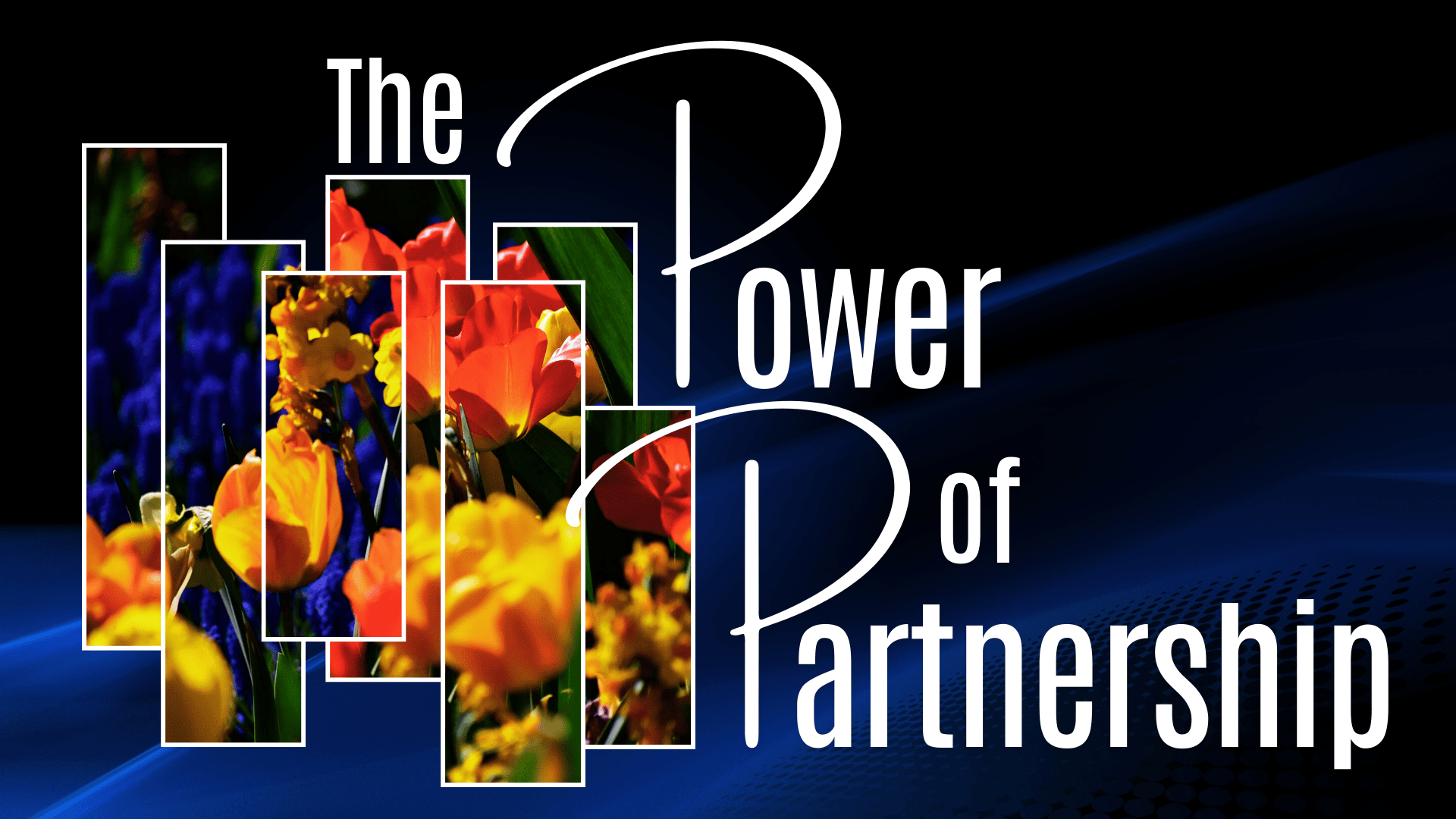 The Power of Partnership